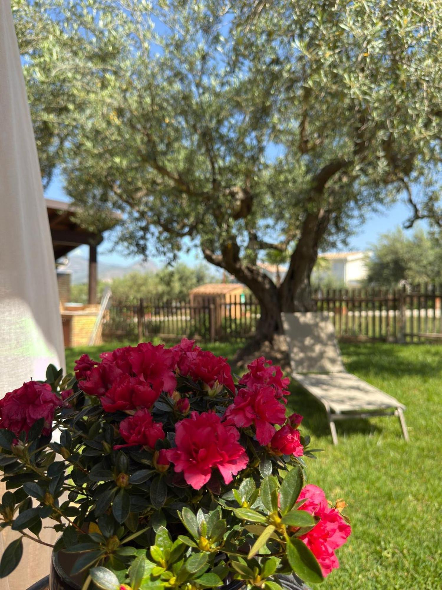 Azienda Agrituristica Baglio Carta Balestrate Exterior foto